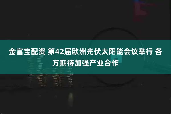 金富宝配资 第42届欧洲光伏太阳能会议举行 各方期待加强产业合作